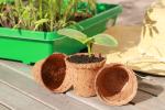 Accessoires pour semer - Godet Coco Rond - 6 cm (x32) - MEDIA_EN_SITUATION_1